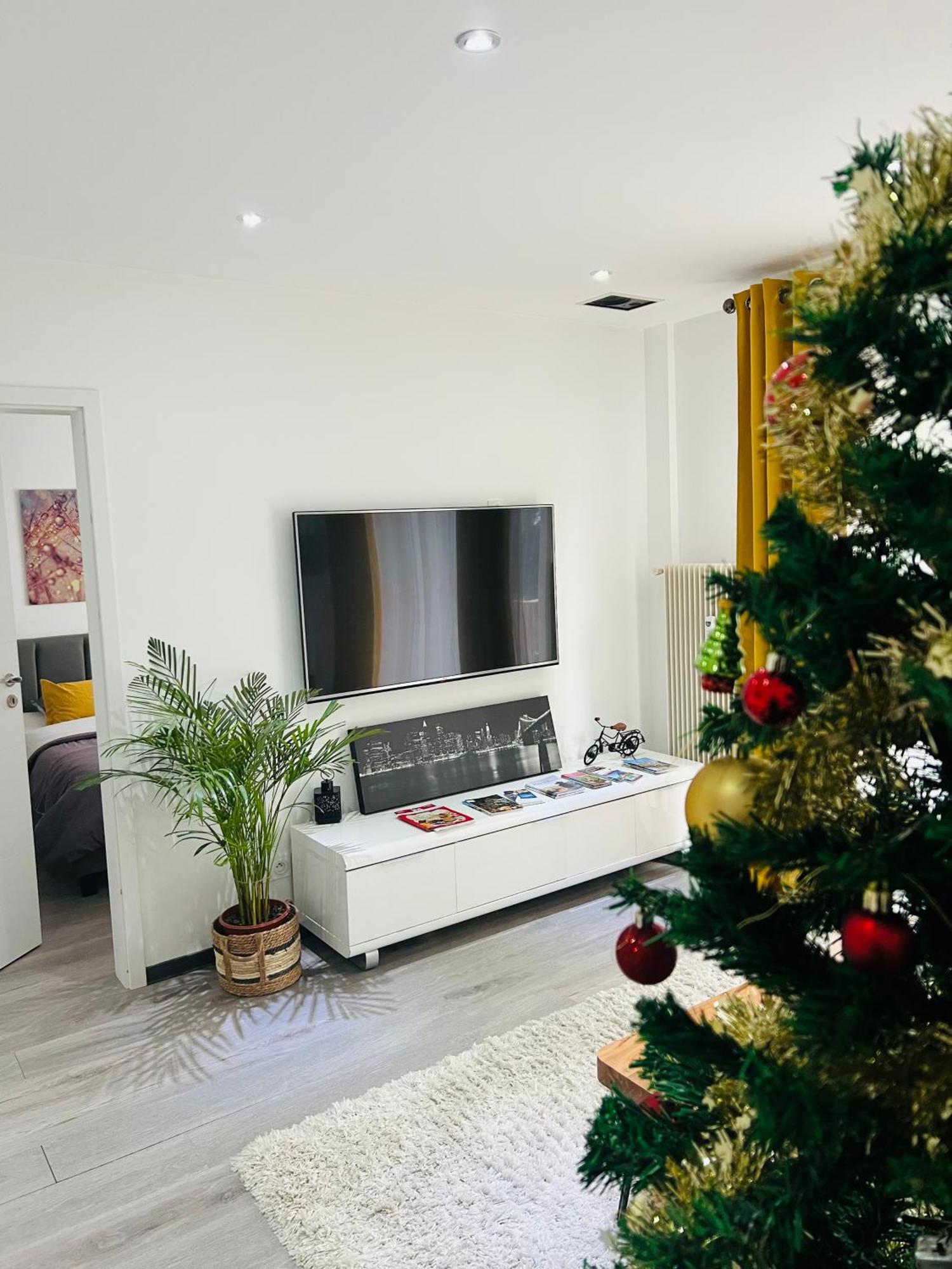 Superbe Appartement Lumineux Avec Parking Gratuit Винтсенайм Экстерьер фото
